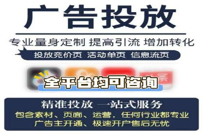 视频教程：通过SEM推广实现快速引流